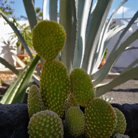 Dom wakacyjny Casa Azmira Del Mar Guatiza