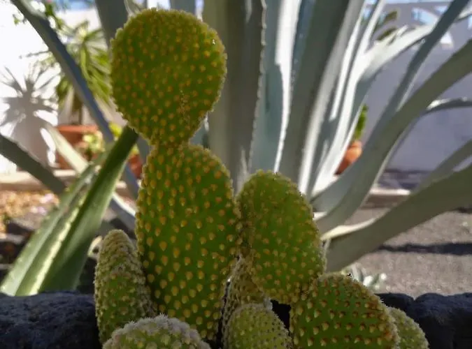 別荘 Casa Azmira Del Mar Guatiza